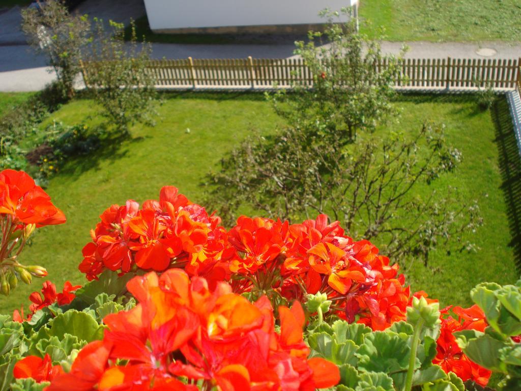 Appartement Haus Bianca à Stumm Extérieur photo